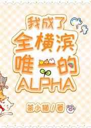 我成了全横滨唯一的Alpha