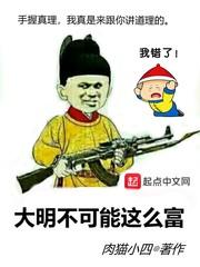 大明不可能这么富